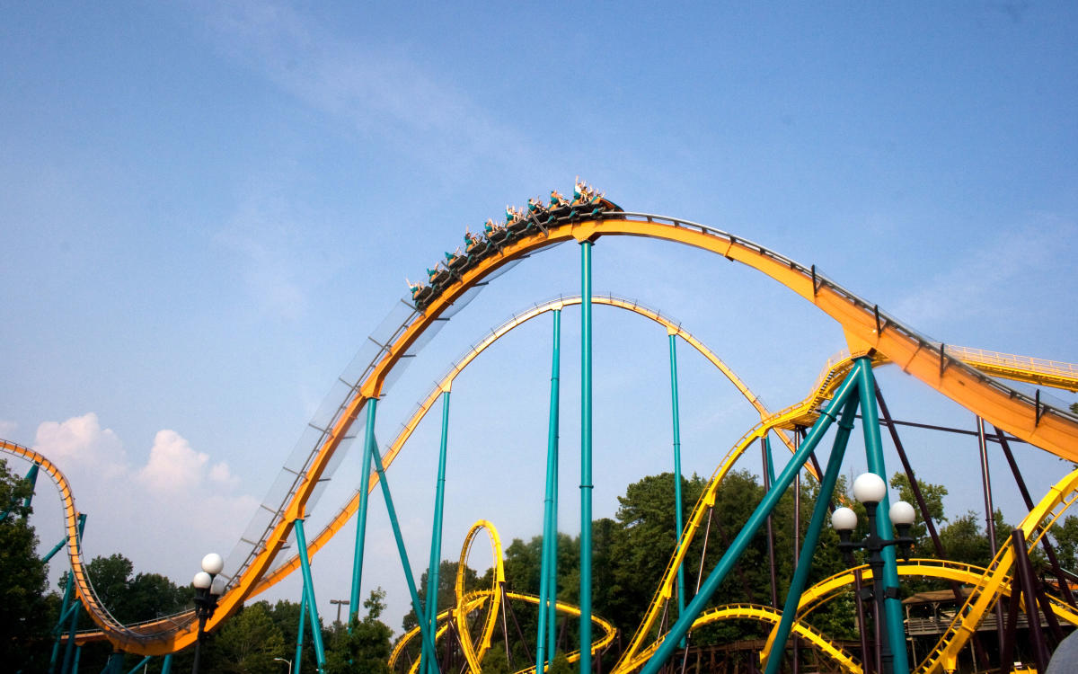 The Physics of Roller Coasters