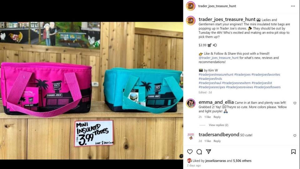 <div>An Instagram user posts a picture of Trader Joe's new mini insulated tote bags that are popping up in Trader Joe’s stores across the country.</div>