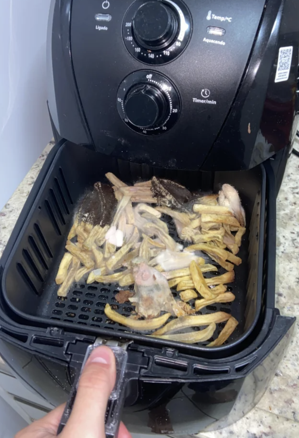 Moldy fries in an air fryer