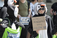 <p>Activists of Greenpeace dressed up as penguins hold a sign “Homeless penguins looking for some ice” as they protest against the decision of the US government to exit the Paris climate deal in front of the US Embassy in Bern, Switzerland, Friday, June 2 2017. (Anthony Anex/Keystone via AP) </p>