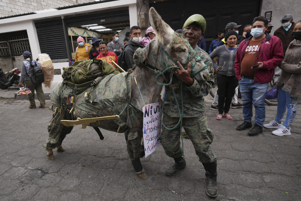 Un jinete y su burro, ambos vestidos con uniforme militar, aguardan el inicio de una competición de disfraces durante un festival anual de estos equinos en Salcedo, Ecuador, el sábado 10 de septiembre de 2022. (AP Foto/Dolores Ochoa)