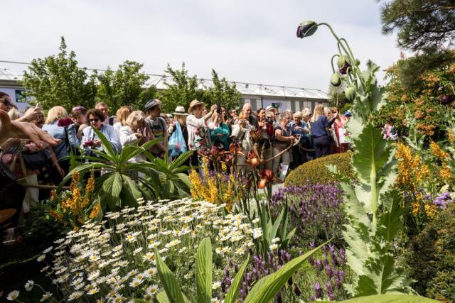 Chelsea Flower Show: The RHS is banning floral foam from its shows