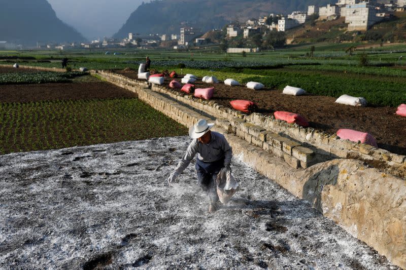 A farm worker prepares the land for sowing amid the outbreak of the coronavirus disease (COVID-19), in Almolonga