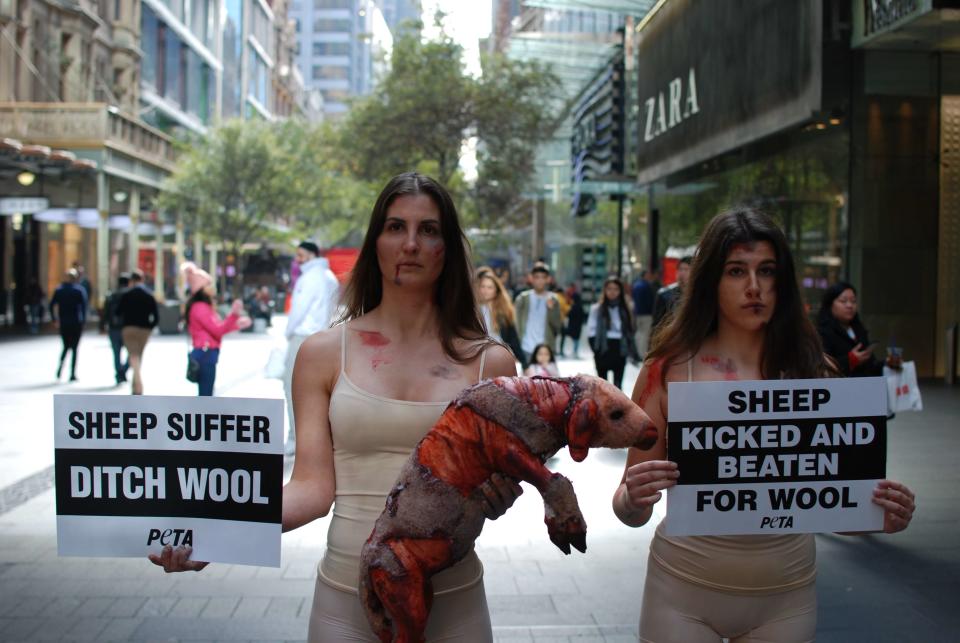 PETA protesters holding signs last week claiming sheep suffer during shearing. Source: PETA/Steven Walker