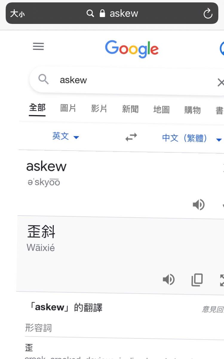 ▲原PO在Google上查詢「askew」，結果整個畫面歪掉，（圖／記者張志浩攝）