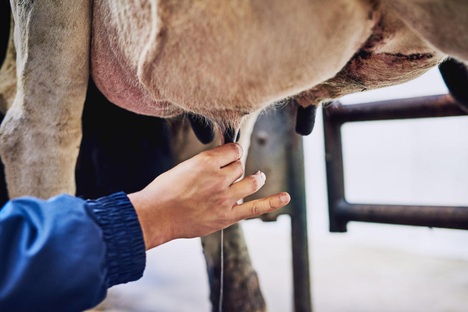 Mr Littleproud said fundraising campaigns are a ‘smokescreen’ for supermarkets who pay a small amount for milk. Source: Getty/file