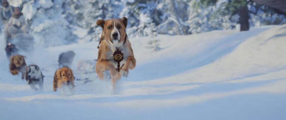 超擬真特效打造能傳遞情感的萌犬巴克