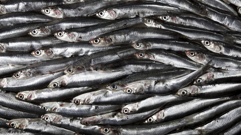 A pile of anchovies