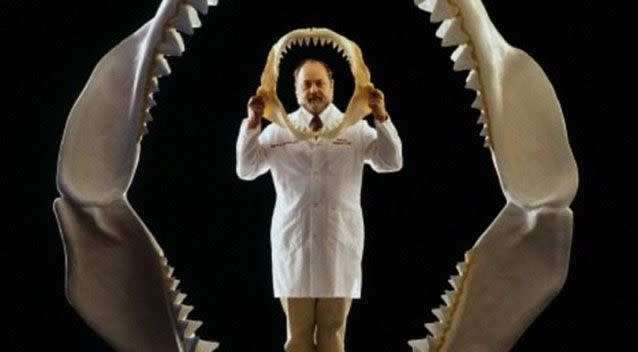 Shark expert Dr Jeremiah Clifford holds the jaws of a great white shark, while standing in the reconstructed jaws of Megalodon.  Source: Corbis
