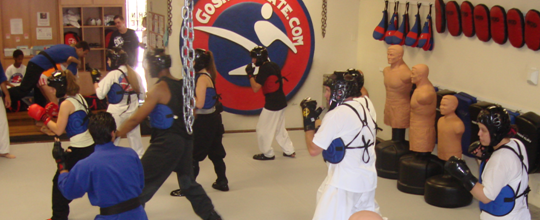 Goshin Karate &amp; Judo Academy