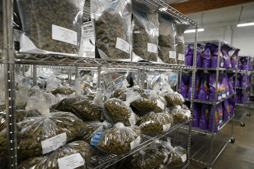 Bags of marijuana buds fill shelves in the showroom of the Portland Cannabis Market in Portland, Ore., on March 31, 2023. Oregon, which has huge stockpiles of marijuana, should prepare for the U.S. government eventually legalizing the drug and position the state as a national leader in the industry, state auditors said Friday, April 28, 2023. (AP Photo/Eric Risberg)