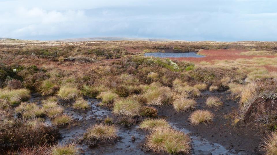 A peat bog in the Brecon Beacons (Corrinne Manning/National Trust) (PA Media)