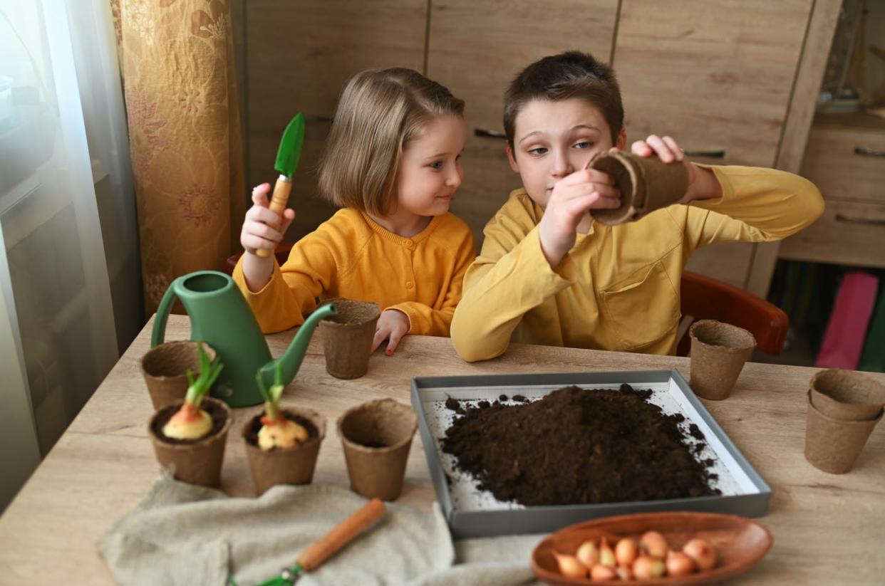   <span class="attribution"><a class="link " href="https://www.shutterstock.com/es/image-photo/happy-children-planting-plants-home-girl-2126486282" rel="nofollow noopener" target="_blank" data-ylk="slk:Shutterstock / Irishasel;elm:context_link;itc:0;sec:content-canvas">Shutterstock / Irishasel</a></span>