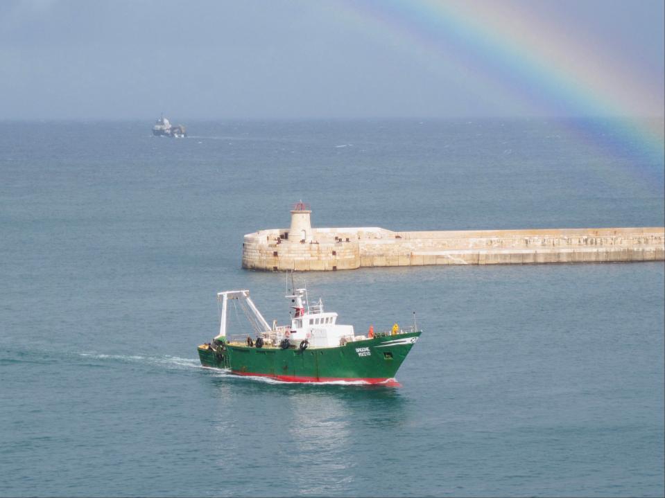 Colour vision: the view from Valletta, currently on the ‘amber list' (Simon Calder)