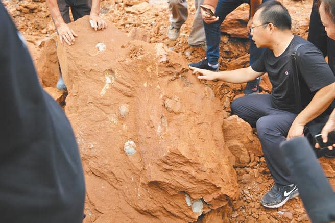 江西萍鄉市上栗縣一處工地發現十餘枚恐龍蛋化石。（圖：李巧）