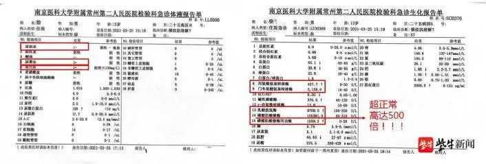 （圖／翻攝自紫牛新聞）