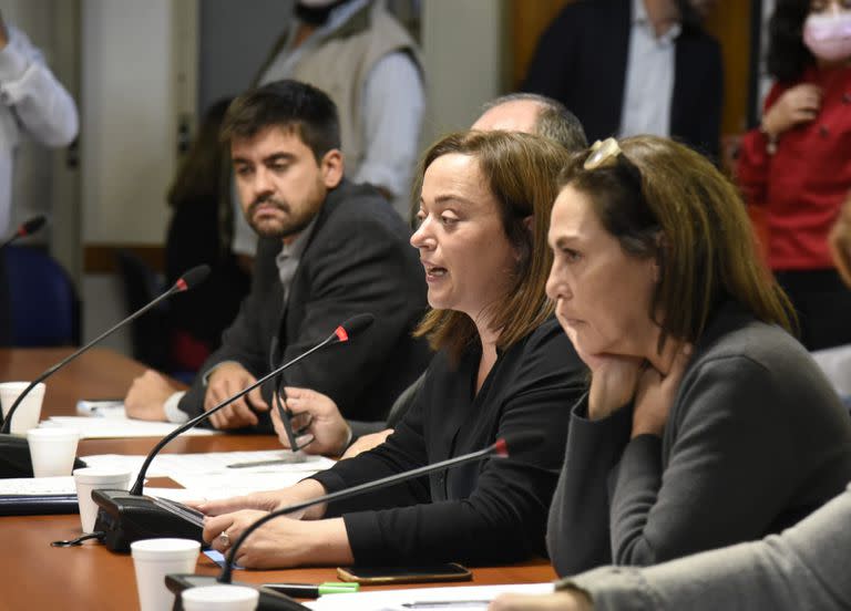 Las diputadas Cecilia Moreau y Karina Banfi hoy en la comisión de Legislación General