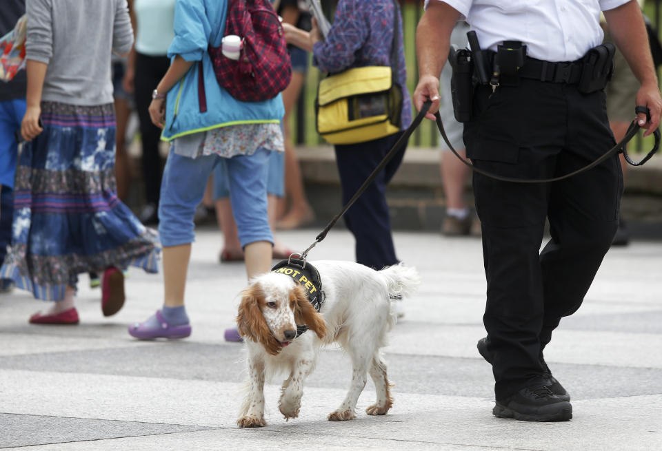 A Uniformed Division Secret Service police officer patrols with a dog as visitors walk on Pennsylvania Avenue in front of the White House in Washington, Wednesday, July 9, 2014. The Secret Service has started deploying specialized canine units to help protect the area around the White House grounds, where tourists flock day and night to catch a glimpse of 1600 Pennsylvania Ave. Although the Secret Service has used police dogs since 1976 to pre-screen areas for presidential visits, this is the first time theyâre being broadly deployed among the general public. (AP Photo/Charles Dharapak)