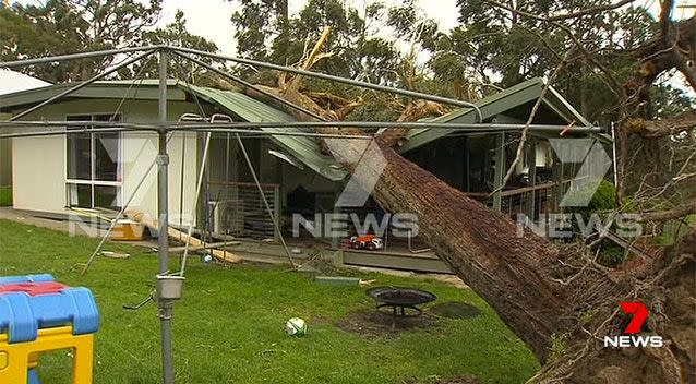 A 90-year-old woman was taken to the Maroondah hospital after a falling tree crashed into her Badgers Creek home. Pictures: 7 News