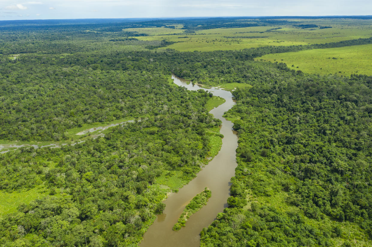 Meandering jungle river in the rainforest of the Congo Basin