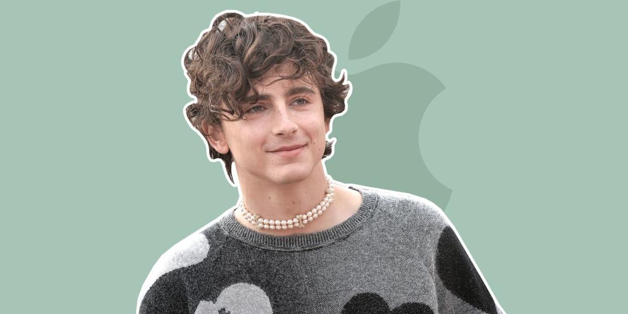 timothee chalamet