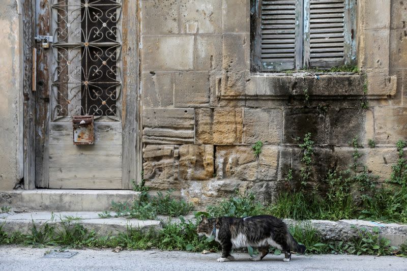 A cat makes its way past an abandoned house in the old city of Nicosia