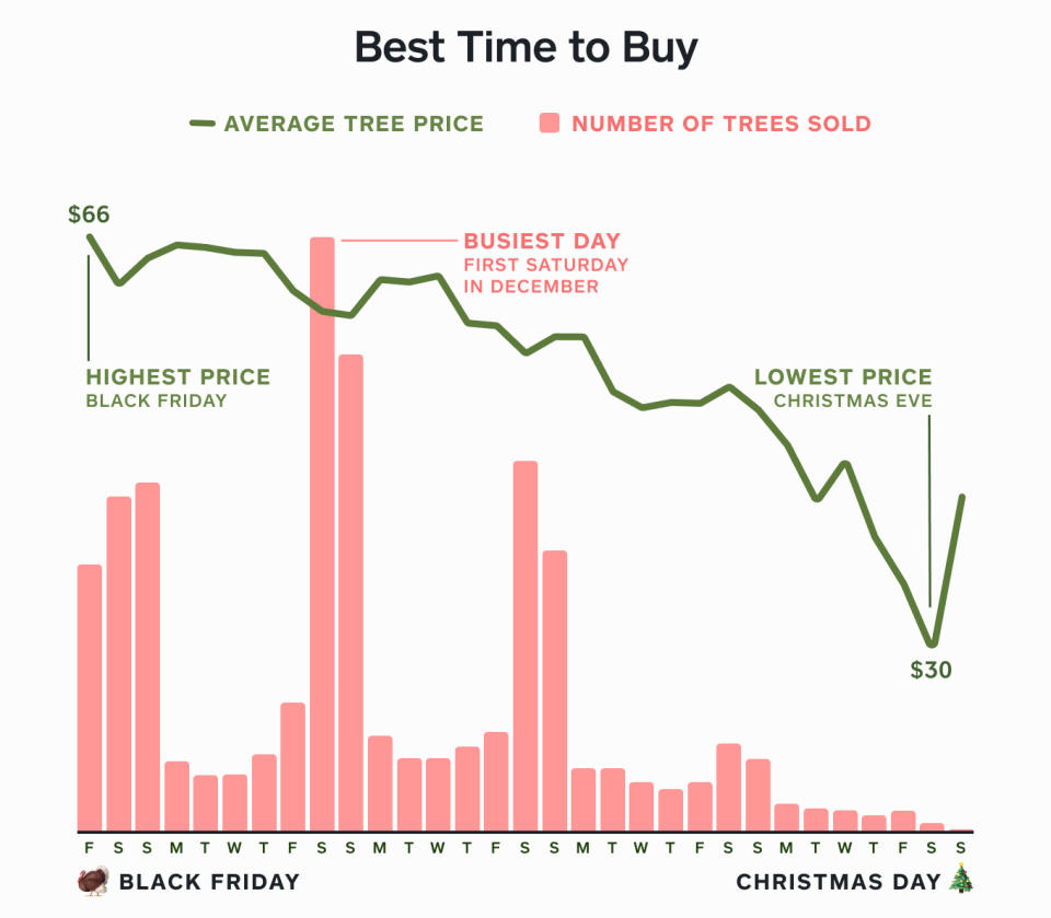 The first weekend in December is the most expensive time to buy a tree. (Square)