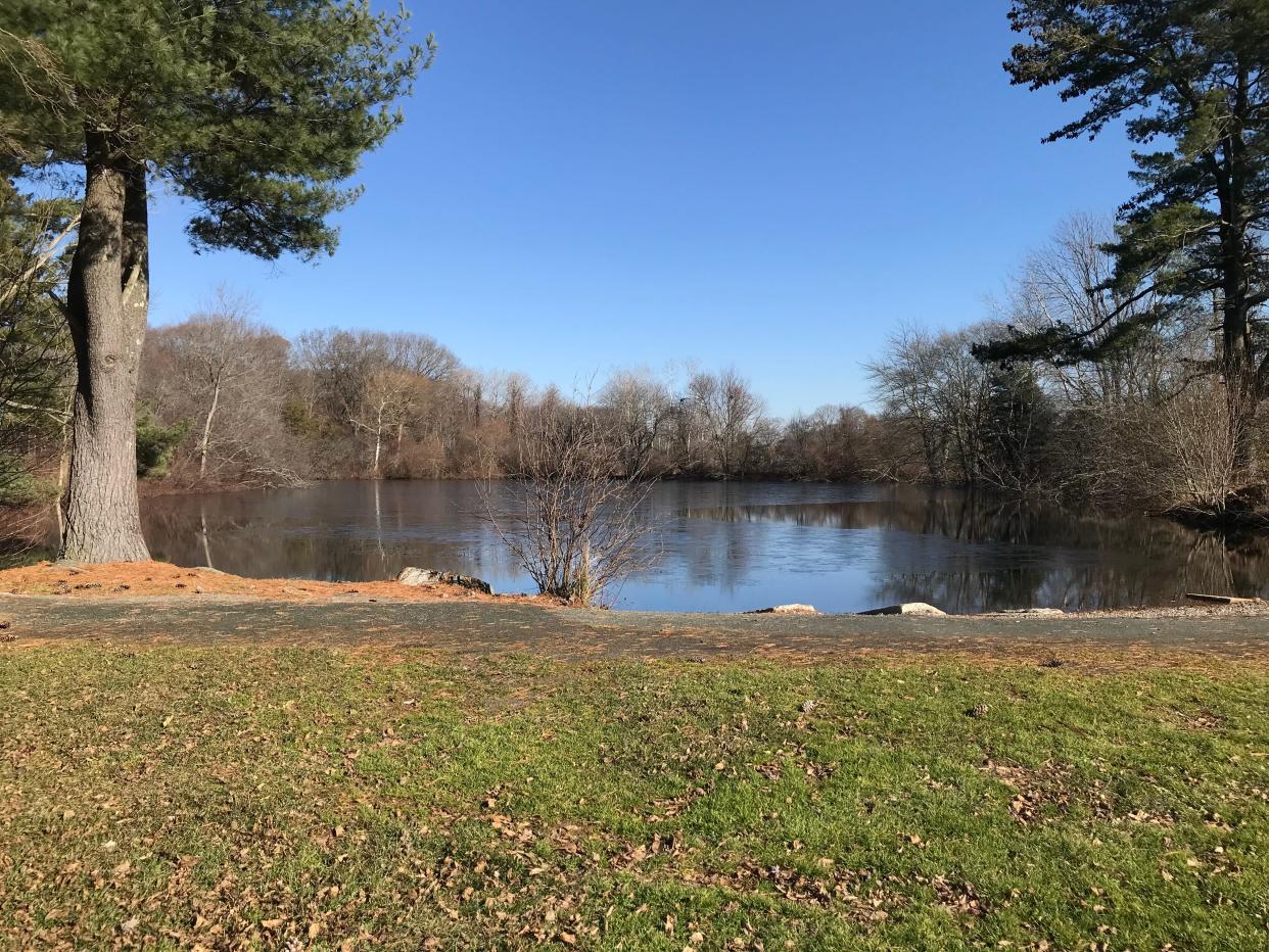 A reservoir, called Cow Pond, was dug on a hilltop to provide water for cows at Chase Farm in Lincoln. Now a town-owned conservation area, it is a popular spot for dog walkers.