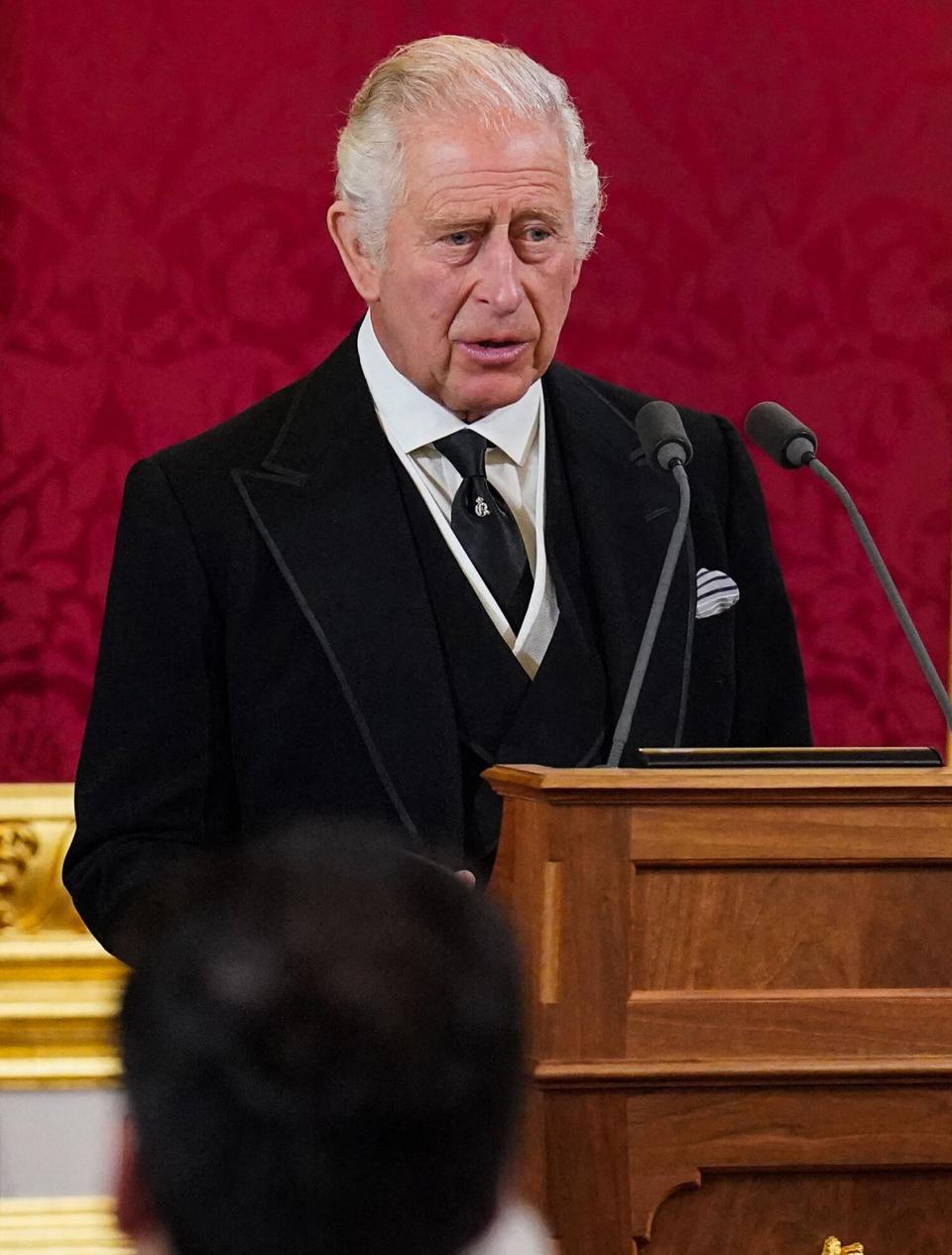 King Charles III speaks during a meeting of the Accession Council in the Thrown Room inside St James's Palace in London