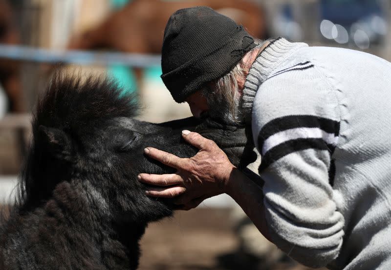 Walter Carbone, a carer member of APRE (Equine Rescue Protection Association) kisses Peque, a mistreated horse rescued by the association, at their refuge, in Lanus, on the outskirts of Buenos Aires