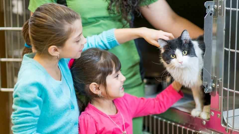 two girls smile as they pick out a cat to adopt from a shelter