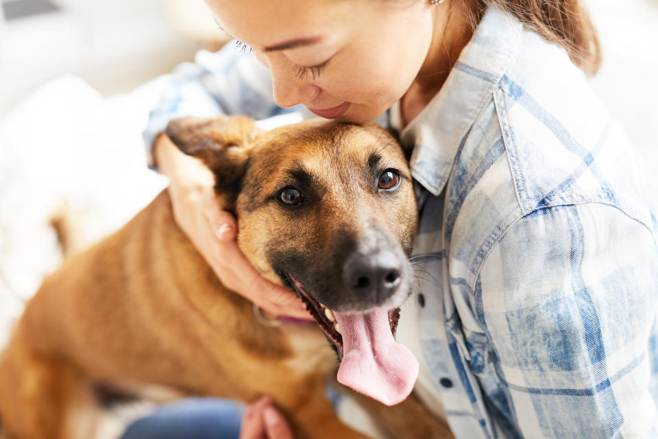 Close up portrait of smiling Asian woman hugging dog sitting on bed in warm sunlight, copy space