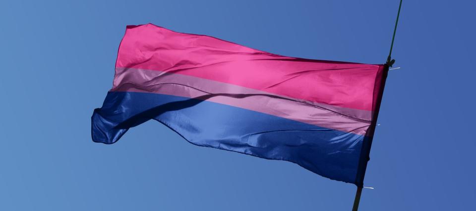 pride flag meanings bisexual pride flag