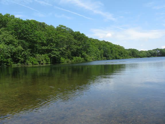 Dodge Pond in Connecticut.