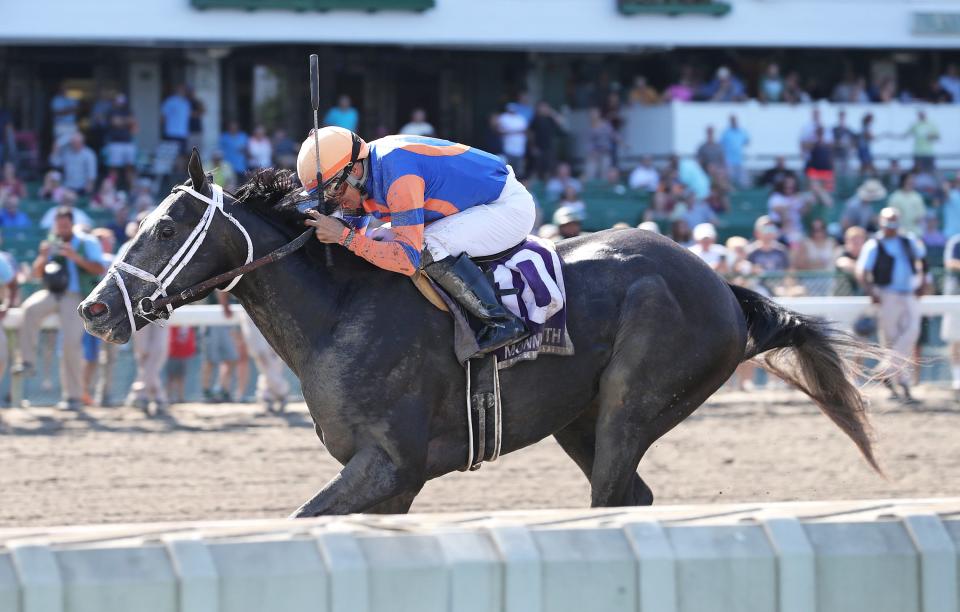 Noted, ridden by Jockey Jairo Rendon, won the $200,000 Sapling for 2-year-old colts at Monmouth Park in Oceanport, N.J. on Saturday August 26, 2023. (Photo By Ryan Denver/EQUI-PHOTO)