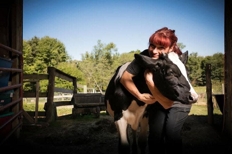 Lisa Marie Sopko, owner of Kindred Spirits Rescue Ranch in South Beaver Township, hugs a cow. It's one of an estimated 100 animals she and her husband, John, have rescued and care for on their 20-acre property.