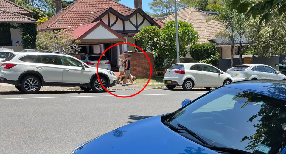 Two dog walkers were spotted walking their dogs across the blistering hot road on Thursday. Source: Supplied