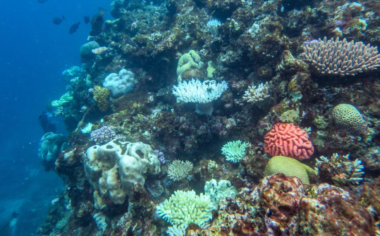 Great Barrier Reef - Australian Institute of Marine Science