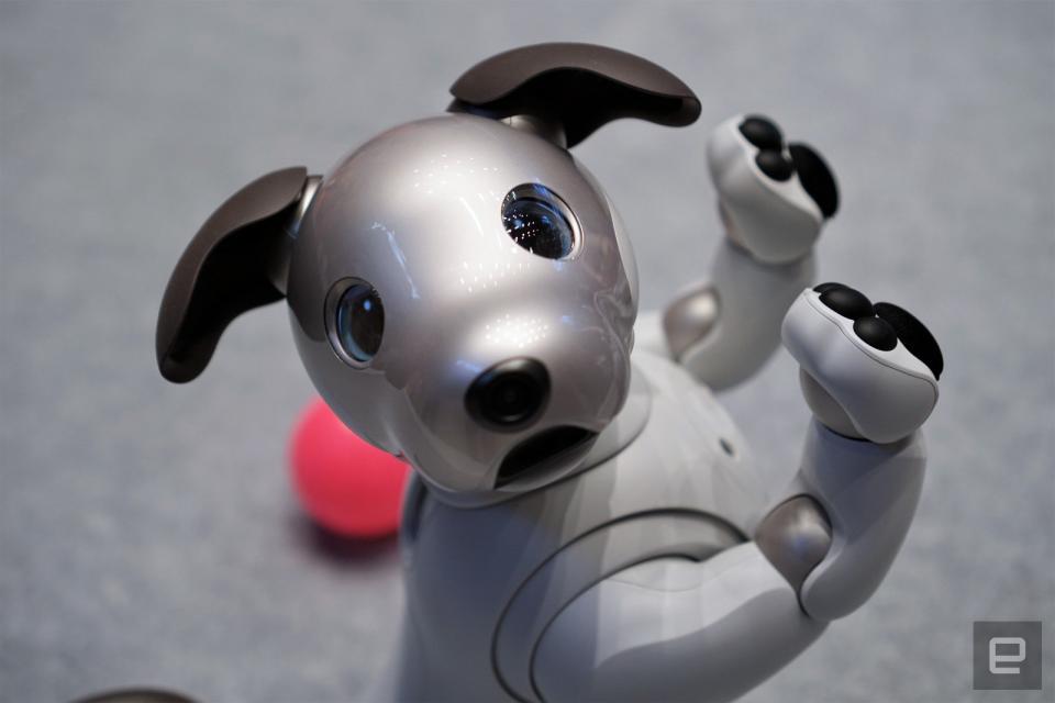 Sony's relentlessly adorable Aibo robot is finally ready to return to American