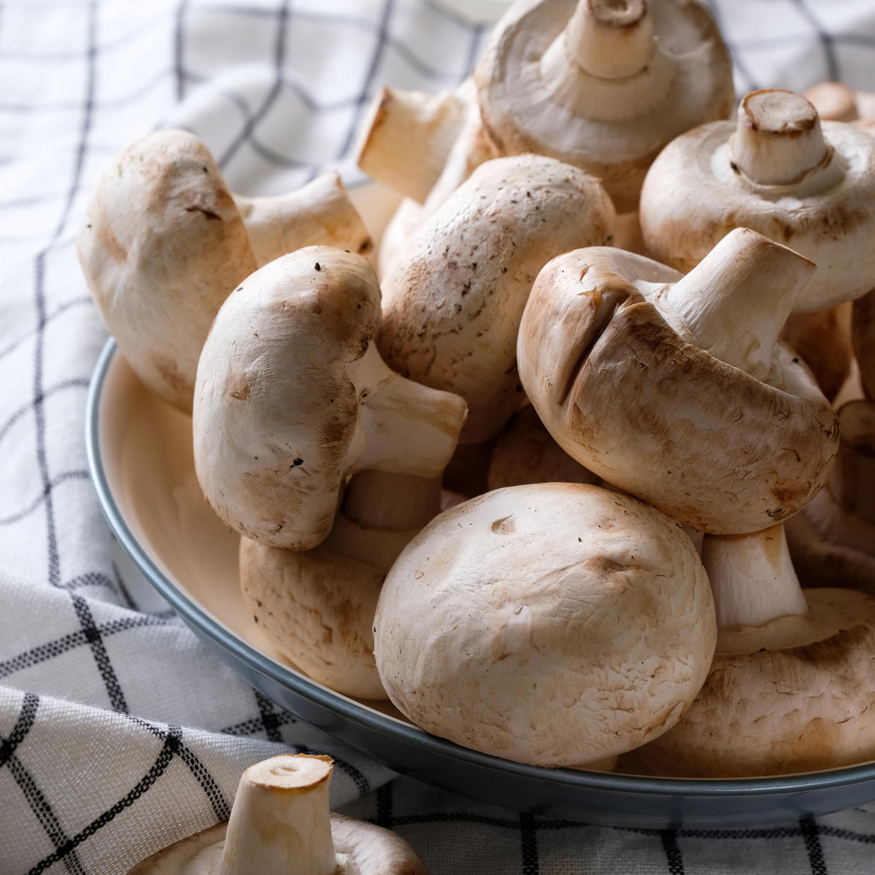  Bowl of mushrooms on tea towel 