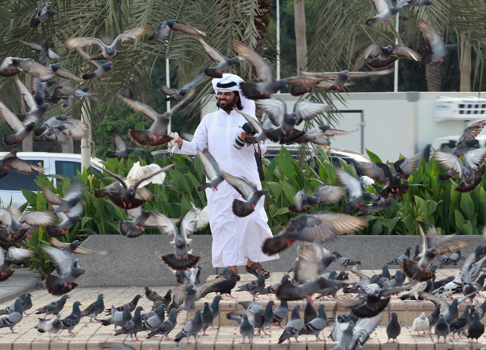 <p>A man looks at pigeons at Souq Waqif market in Doha, Qatar, June 6, 2017. (Photo: Naseem Zeitoon/Reuters) </p>