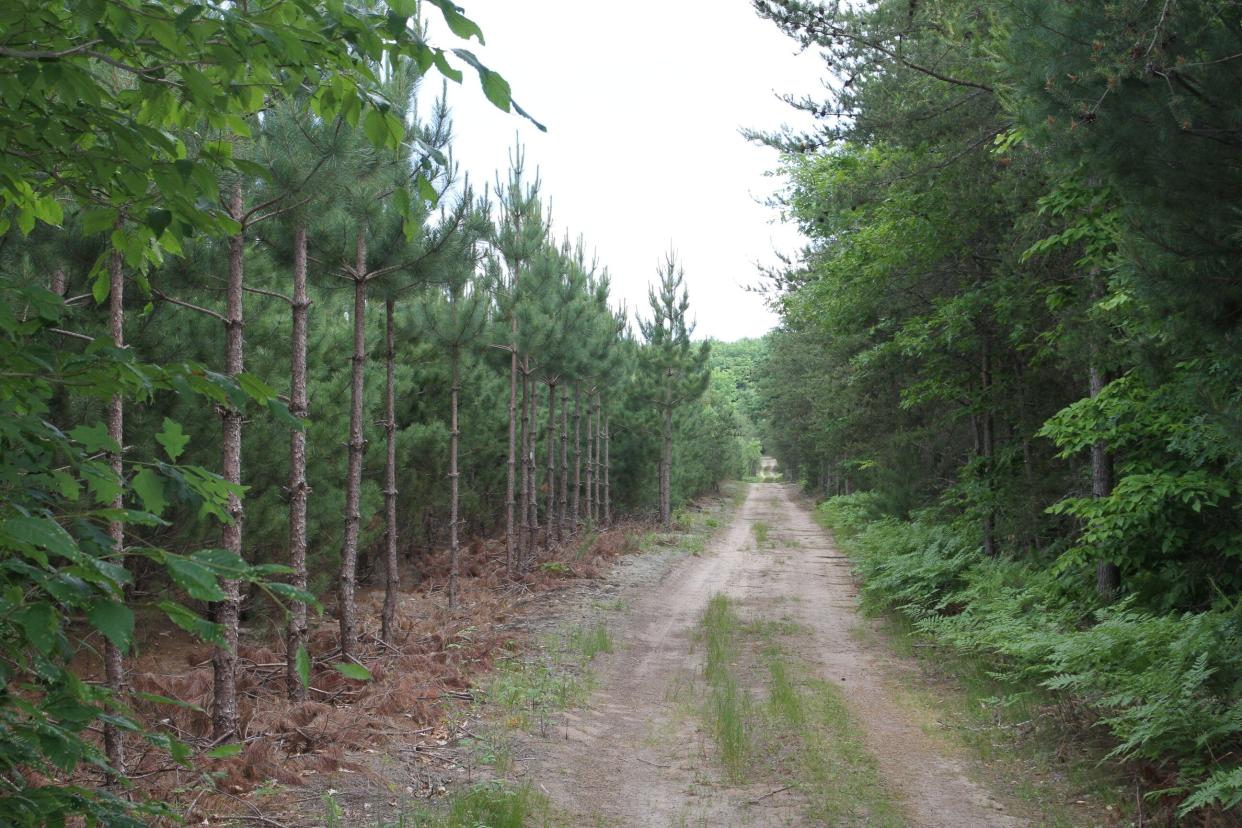 This property in Grand Traverse County is for sale. It is a forested 80 acres along Cedar Creek and Fife Lake roads in Union Township. Grand Traverse County, Title-Check Lot #10028: A forested 80 acres along Cedar Creek and Fife Lake roads in Union Township.