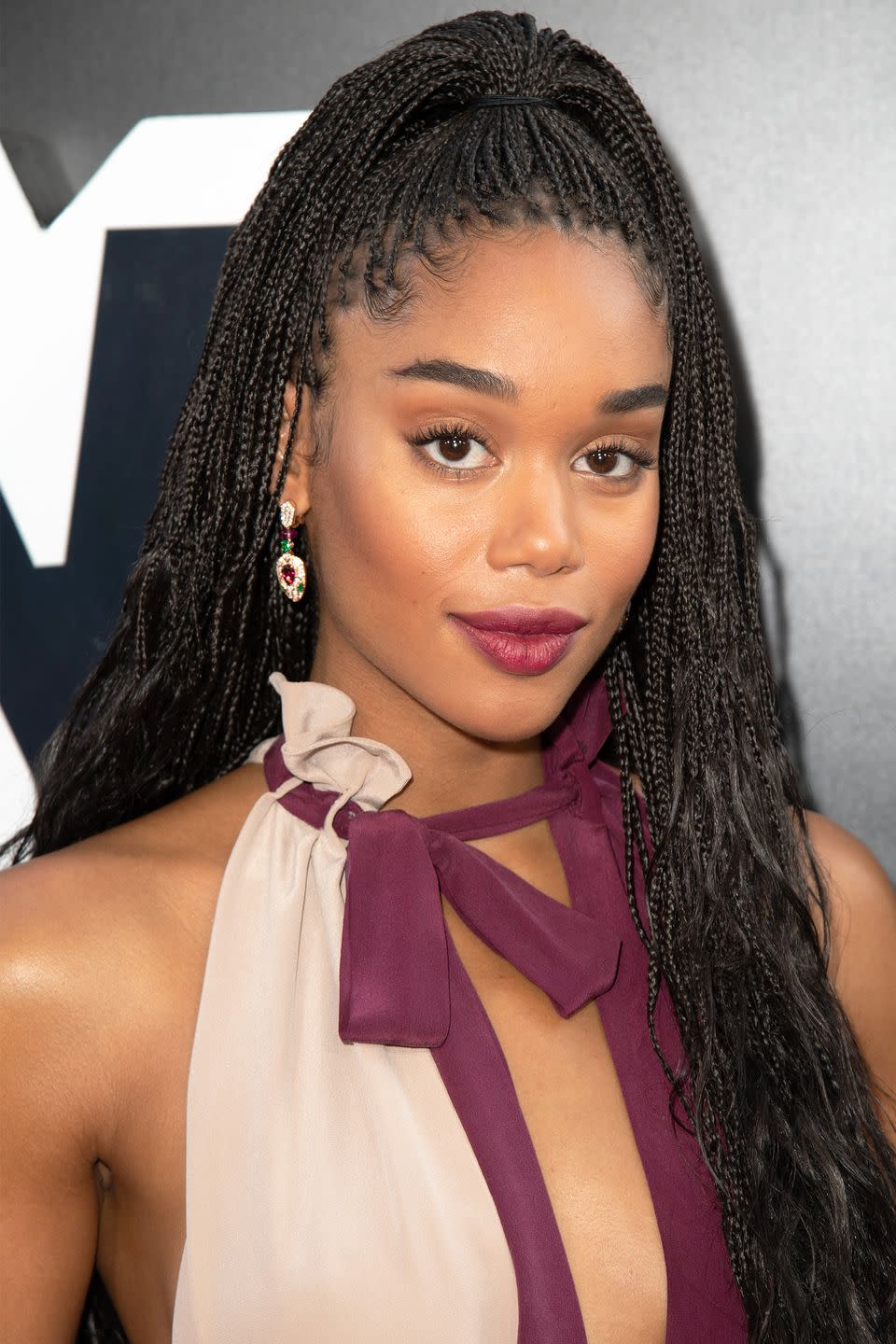 <p>Micro box braids look flawless on this rising star. The high half pony adds a fun, youthful vibe. </p>