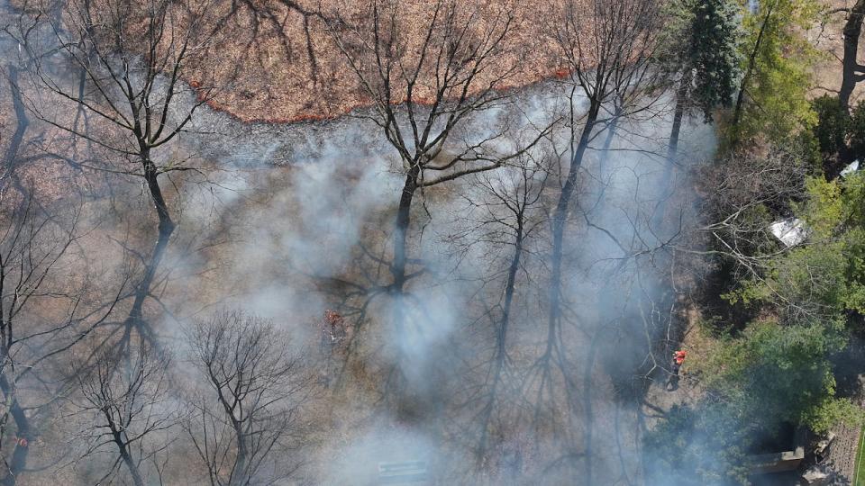 A drone image of the traditional and prescribed burn in High Park on Tuesday. (Patrick Morrell/CBC - image credit)