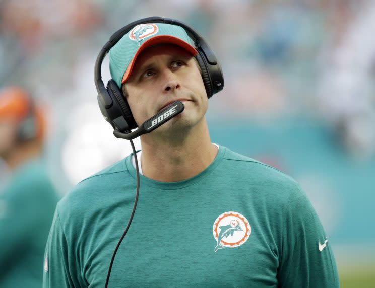 Adam Gase has led an amazing Dolphins turnaround. (AP)