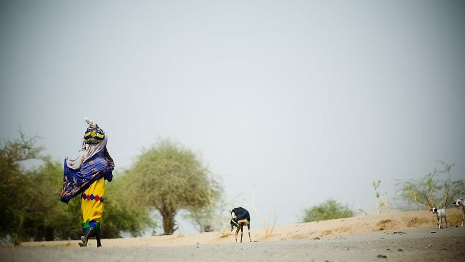 2007年，一名婦女在乍得湖邊