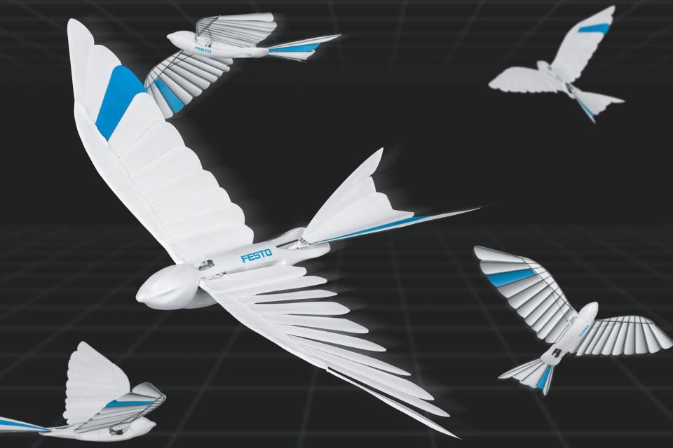 The winged "bionic concept" drones are made from lightweight materials: Festo