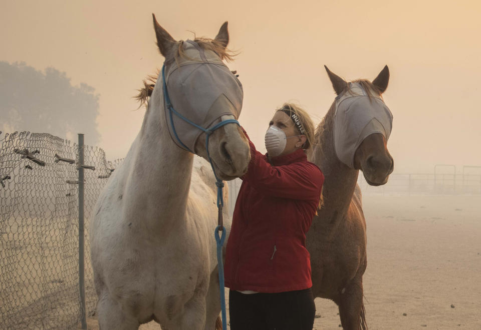 Volunteers help evacuate horses during the Easy Fire, Wednesday, Oct. 30, 2019, in Simi Valley, Calif.  (Photo: Christian Monterrosa/AP)