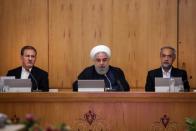 Iranian President Hassan Rouhani speaks during the cabinet meeting in Tehranh