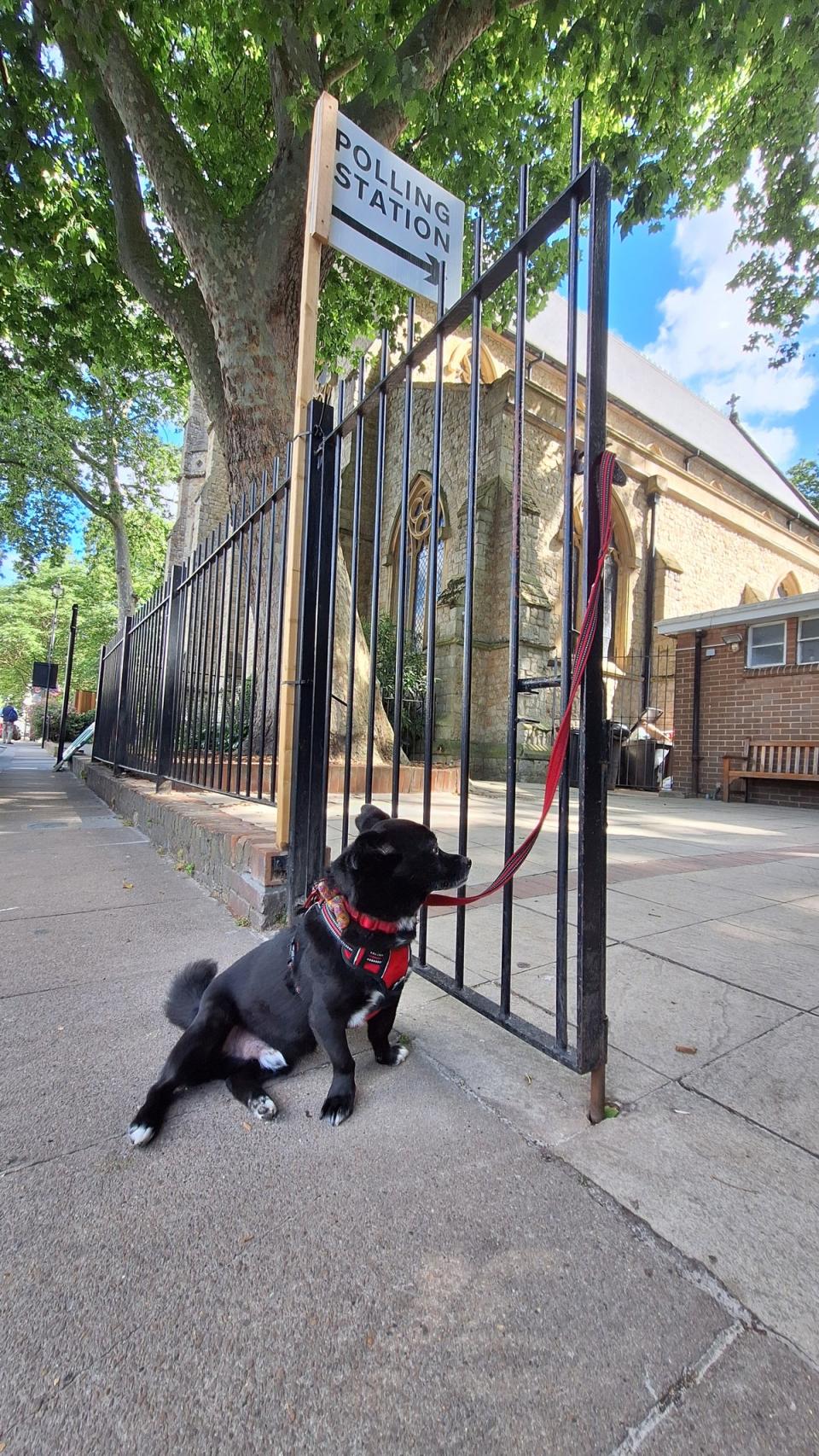 Toni waits at the polling booth (User submitted / Aparajita)